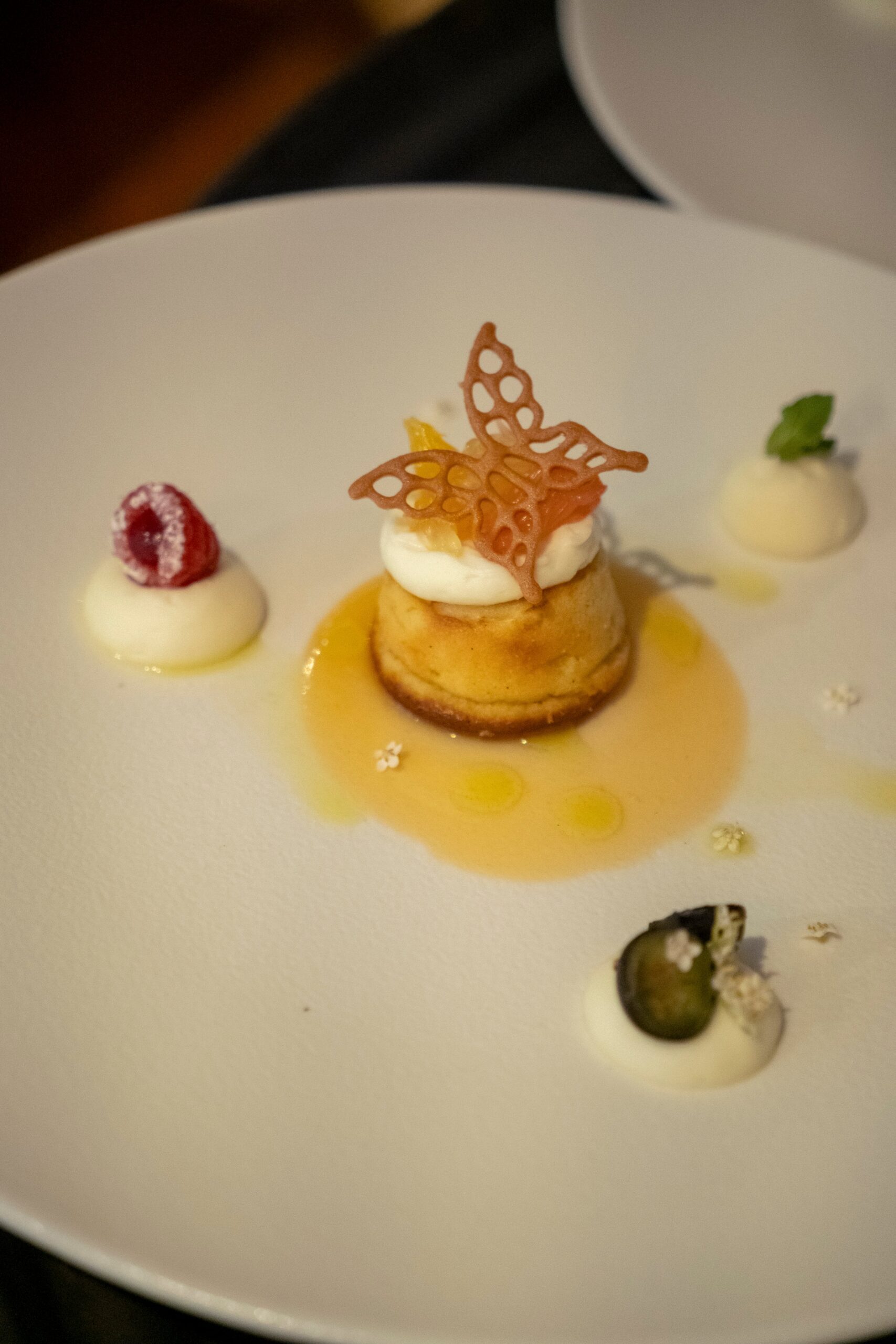 Migliaccio: Ricotta tibia con c&iacute;tricos. (Foto: Cortes&iacute;a Amici)