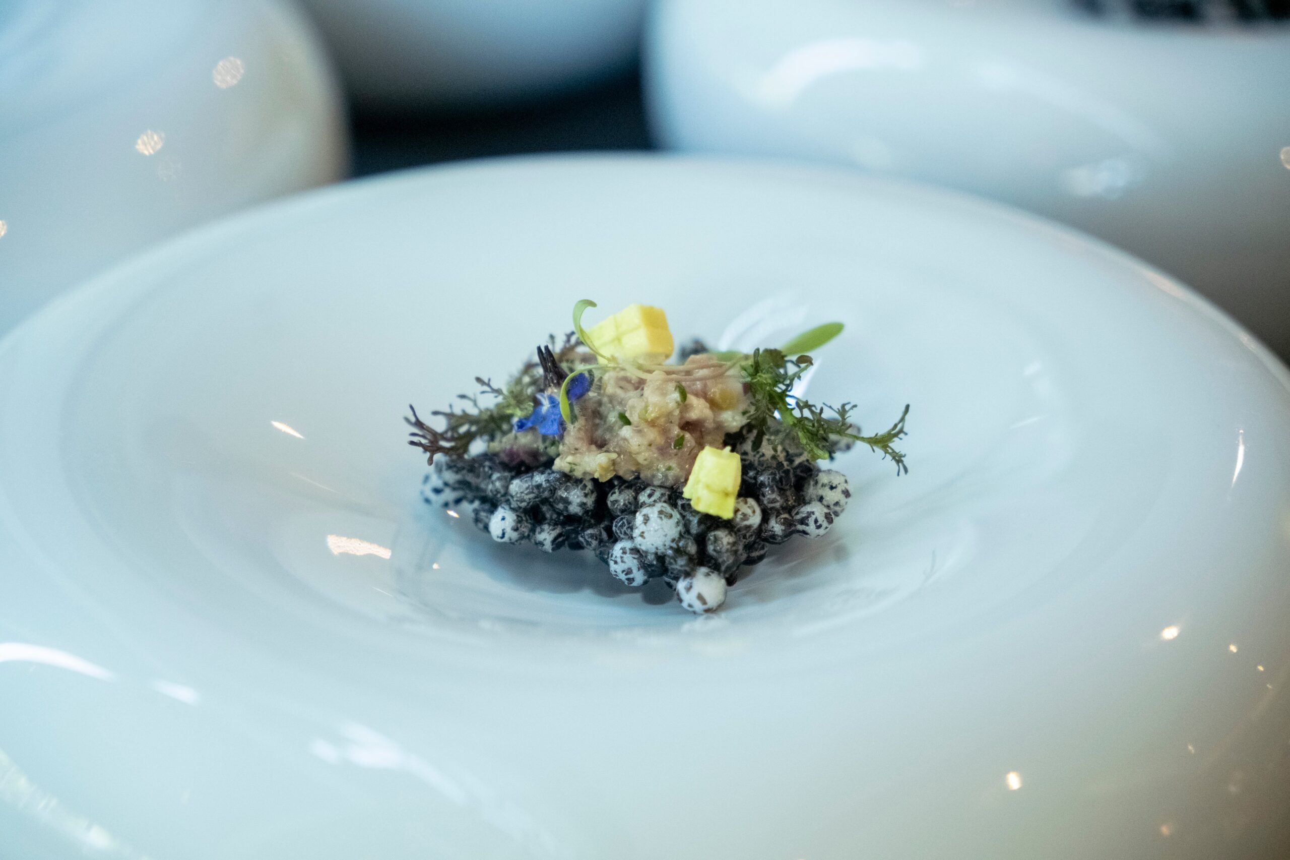 Crocante de tapioca con at&uacute;n. (Foto: Cortes&iacute;a Amici).